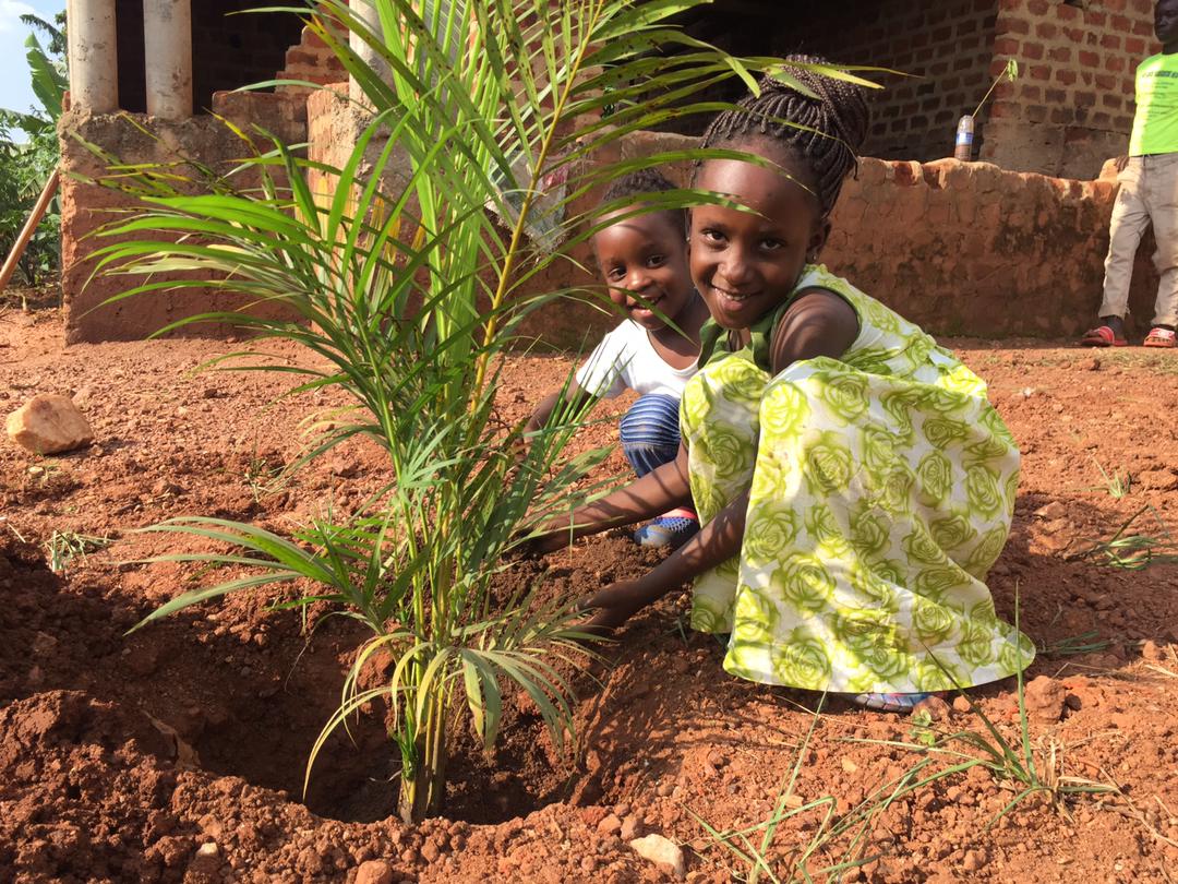 mightydestinizo's tweet photo. With my young environmentalists @Tevin_Lindsay and @Mayra_Octavia we have planted 10 trees in this rainy season, am continuing to mentor young activists  #GenerationRestoration #UprootTheSystem #MindTheGap #FridaysForFuture #ClimateActionNow https://t.co/9QELOhOtw2