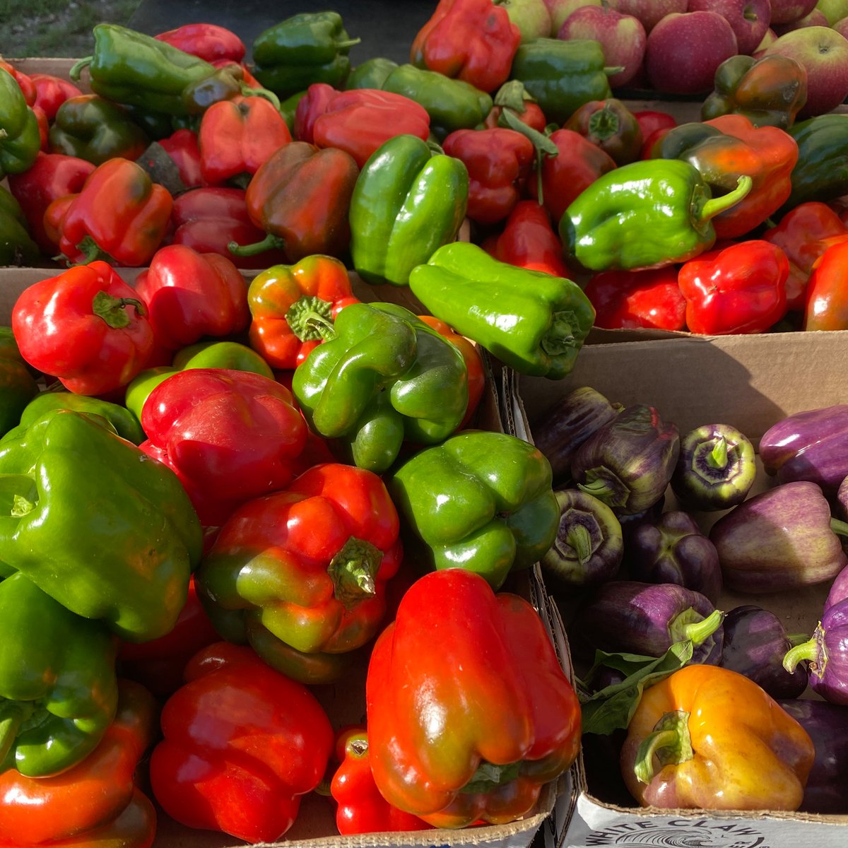 heartctgrown's tweet photo. American Farmland Trust &amp; the Farmers Market Coalition announced winners for the 13th Farmers Market Celebration. Guess who was one of the winners? One of our- Monroe Farmer Market!  It just goes to show we have some awesome farmers markets &amp; farmers 
📸  by Monroe Farmers Market https://t.co/1Q8ZlKTO59
