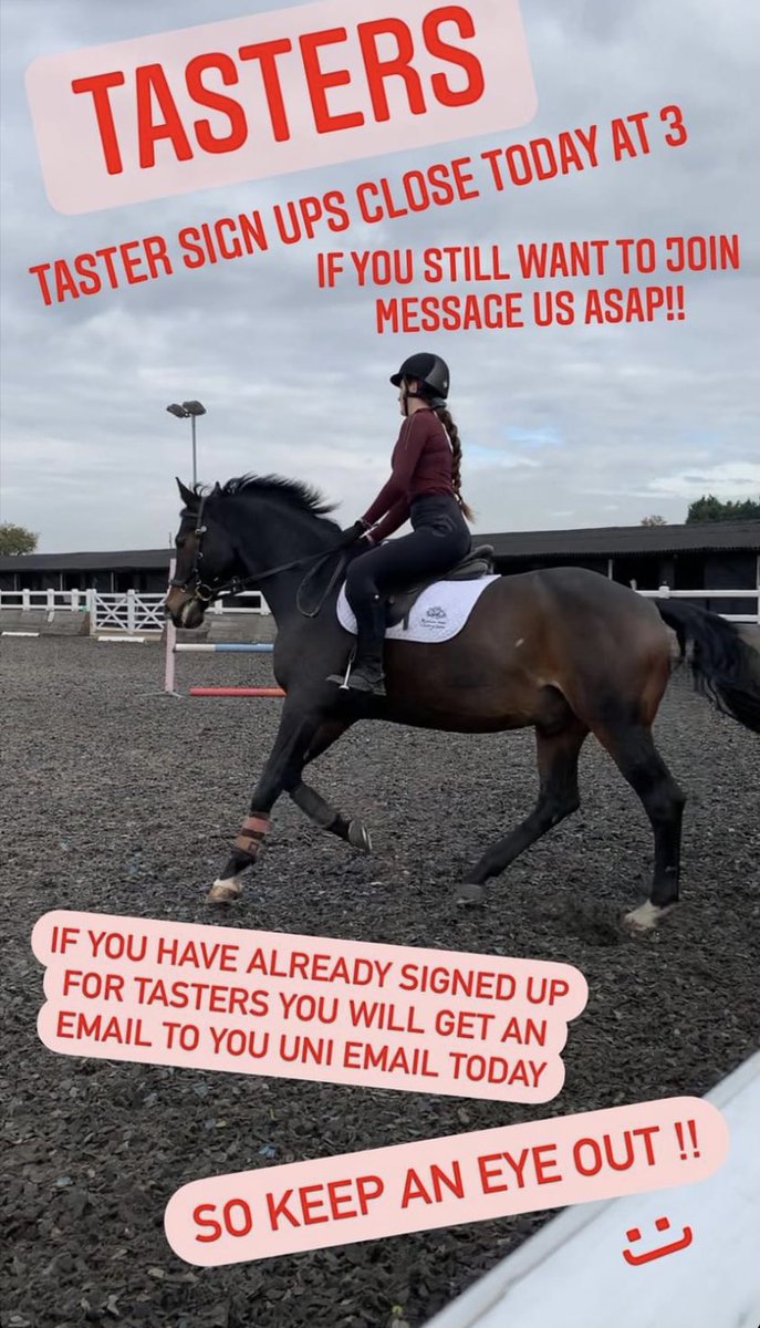 DMUEquestrian tweet media
