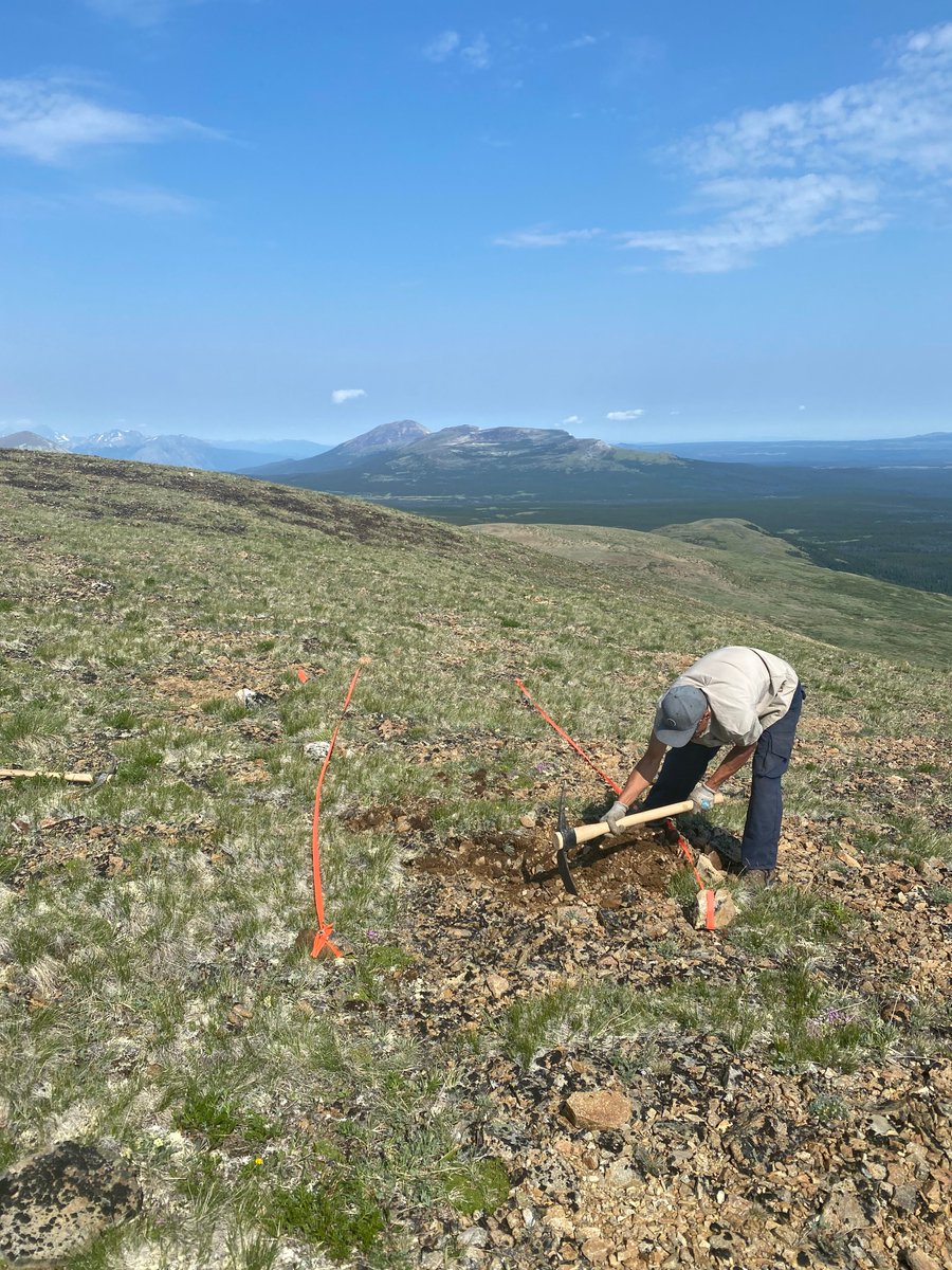 FirstAtlanticNi's tweet photo. Our team digging a test pit at the DIL-1 Zone at the #Blackdome project site.
Follow us for continuous updates and visit https://t.co/cneItbJmeL to learn more.
#TSXV $ACP #ArcPacific #ClintonMiningDivision #BritishColumbia #Exploration #Mining #Gold #Commodities #PreciousMetals https://t.co/qeSl7f8lFp