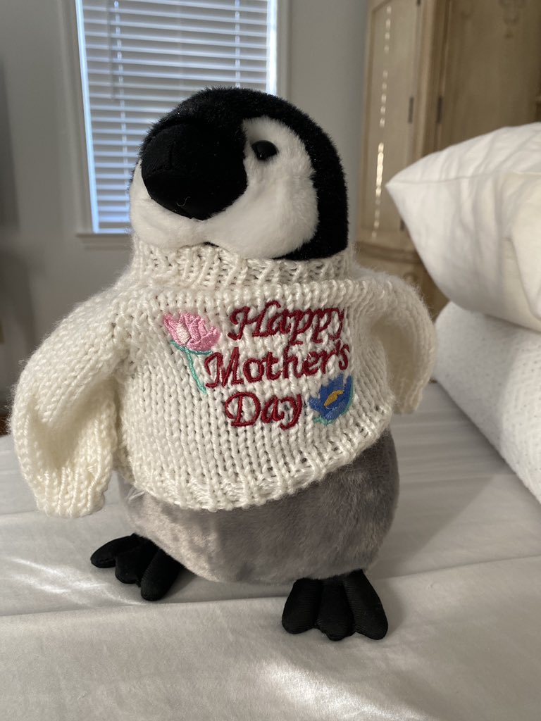 MattFeinbergEsq's tweet photo. Big things happening @SpacePoggersNFT @SP_Penguins we love penguins in this house ! Moooon here we comeee🚀🚀🚀🚀🚀🚀🚀 https://t.co/t6PczAnPRA
