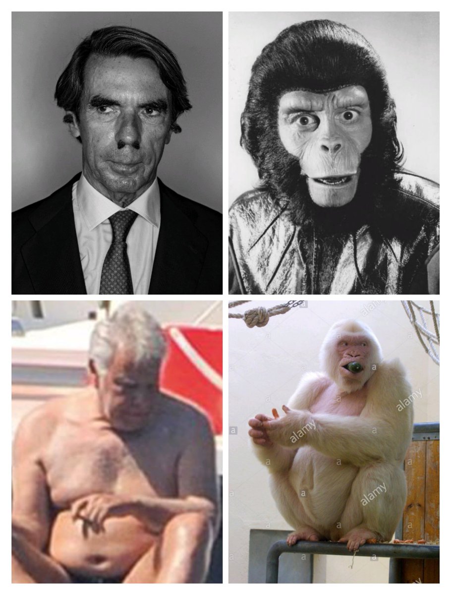 Tengo para todos ...
Para que después digáis que no venimos del mono