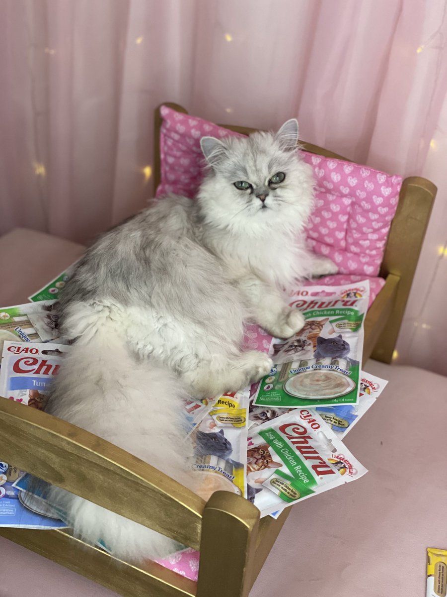 INABA_UK's tweet photo. "There is nothing better than spending Caturday in bed, waiting for your hooman to open the Churu"😍
#churuuk #cats #catlife #catlovers #catloversclub #catlover #happycat #hungrycat #catoftheday #catslover #cutecats #instacats #tastytreats #treats #cats #animal #cutecat https://t.co/FbbtlCgfoJ