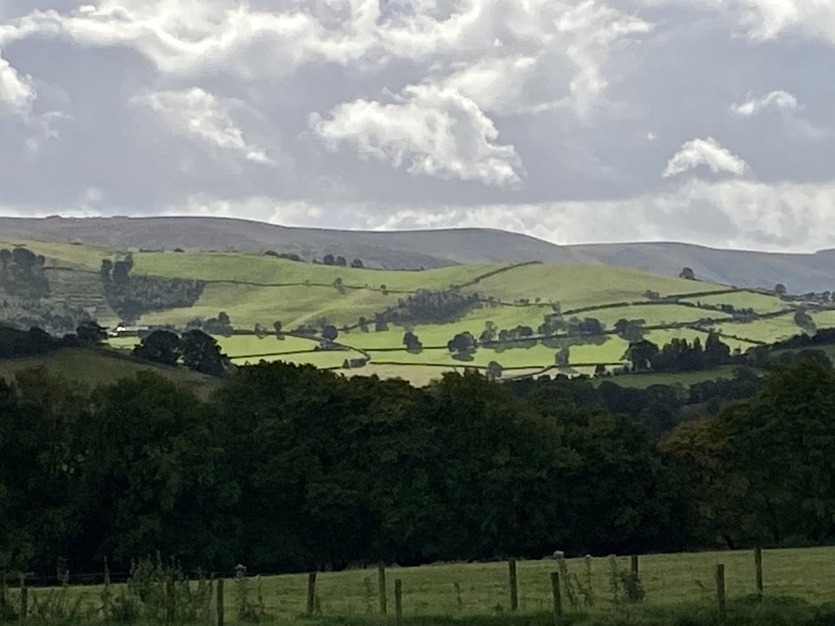 RHewlitt31 tweet media