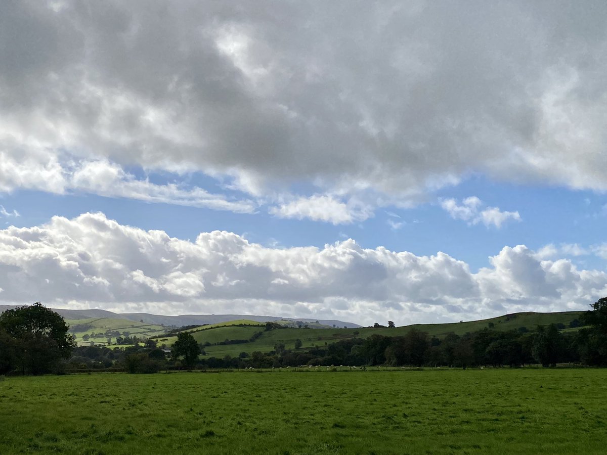 RHewlitt31 tweet media