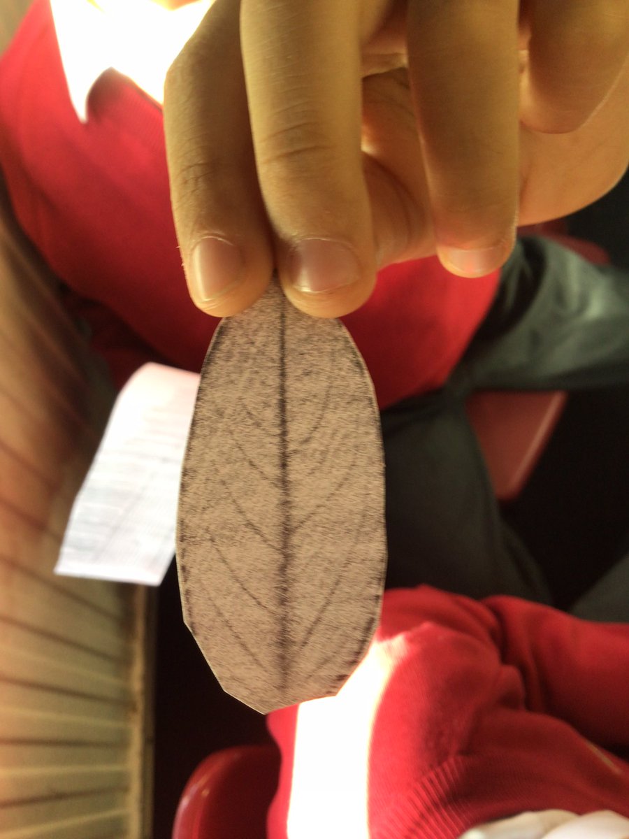 LoosePrimary's tweet photo. Leaf rubbing and creations for our collage based on #theredtree https://t.co/vEZuQpG3PC