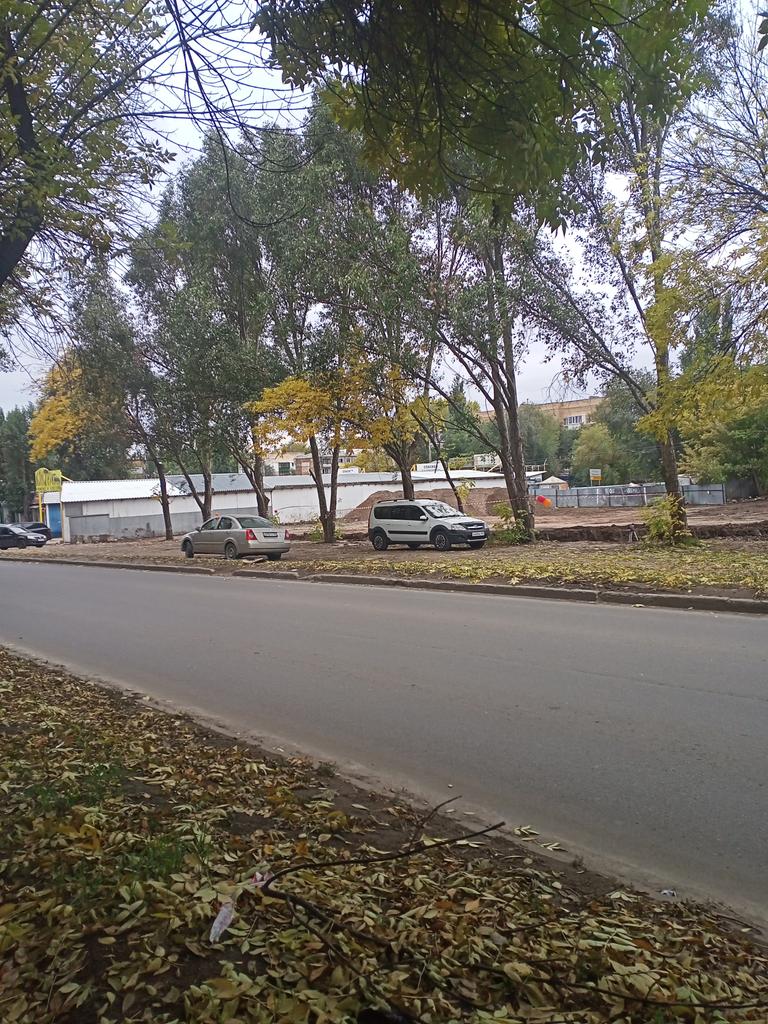 Светлана Лусис tweet media