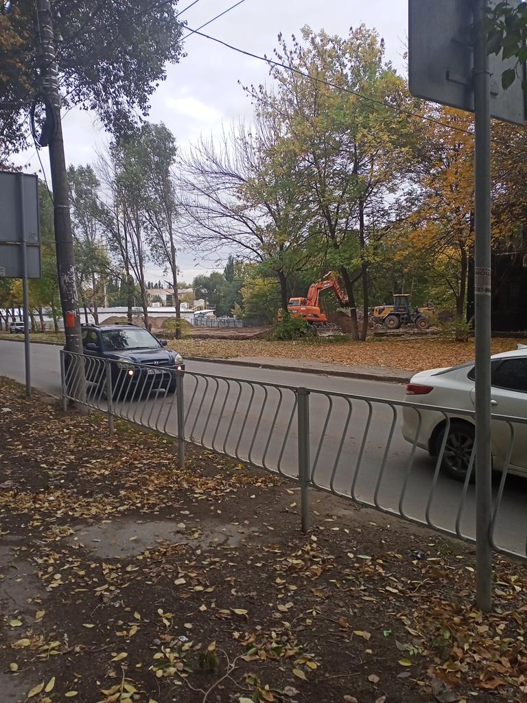 Светлана Лусис tweet media