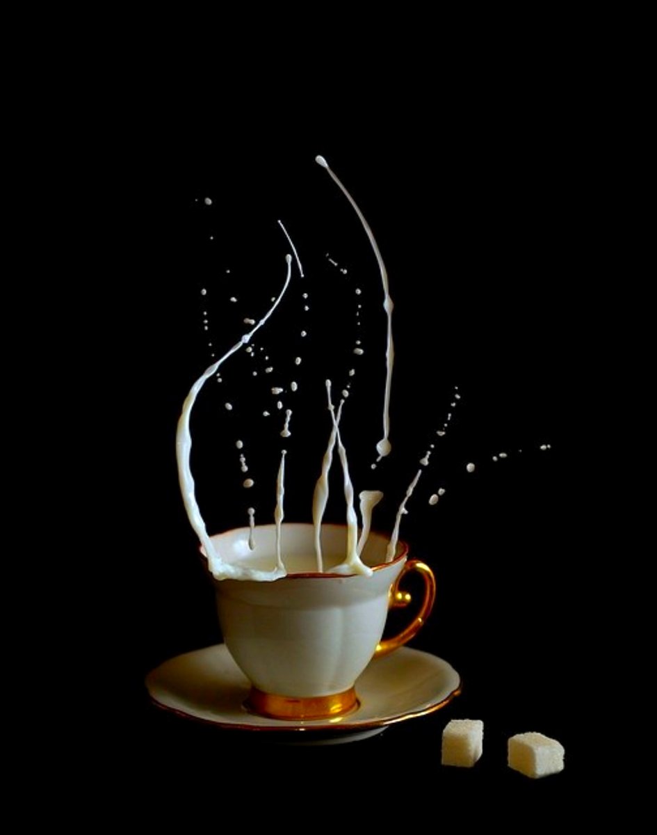 JoshNovak's tweet photo. Čas pro kafe, čas pro sebe, čas pro oddech..😊☕📖🎧🎞️🏃‍♂️🎵🌱 🎾
Startuje první říjnový víkend!🙋‍♂️
#coffeetime☕ #weekendstarting #relaxrelaxrelax #October1st🍁🍂

📷 Egor N. (Flickr) https://t.co/6Cpn8043H0