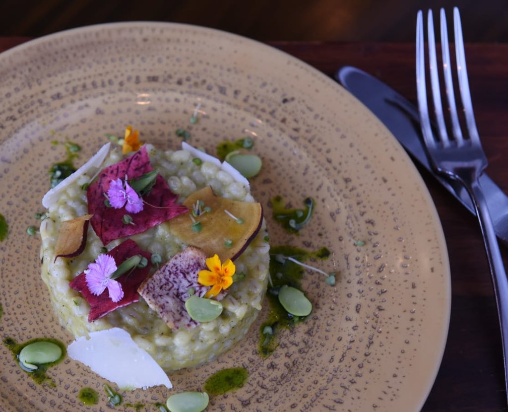t2telegraph's tweet photo. Amidst mushrooming cloud kitchens and personalised catering services, here's a #throwback to fine-dining at star hotels in the city.
Which star property is your favourite?
#ThrowbackFood #HotelsofCalcutta #FineDine https://t.co/kMKMve3o4Y