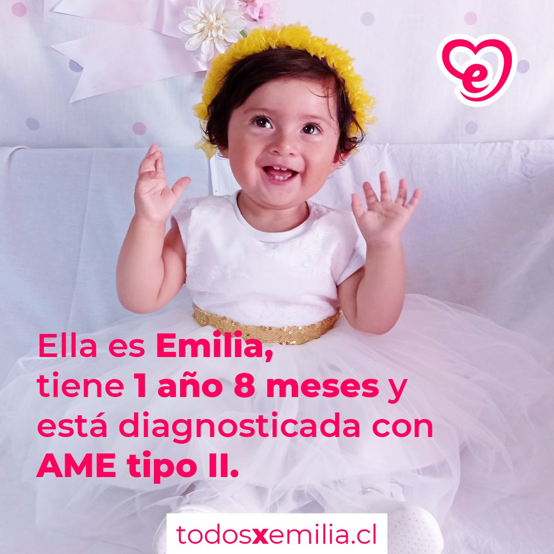 todosxemilia tweet media
