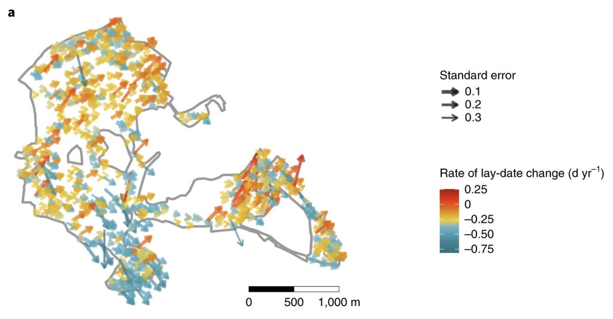 Wytham Tit Study tweet media