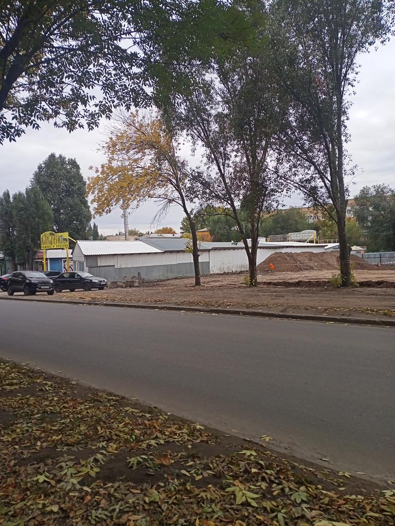 Светлана Лусис tweet media