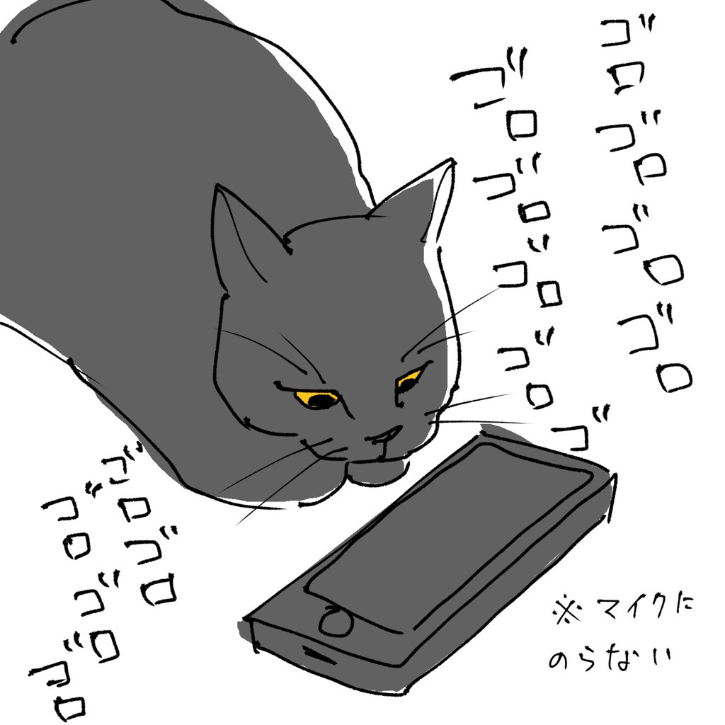 猫スペ序盤こんな感じ 