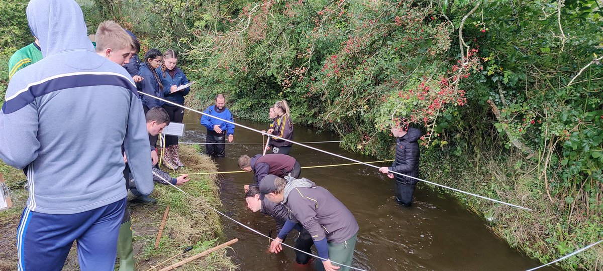 OLSS Castleblayney tweet media
