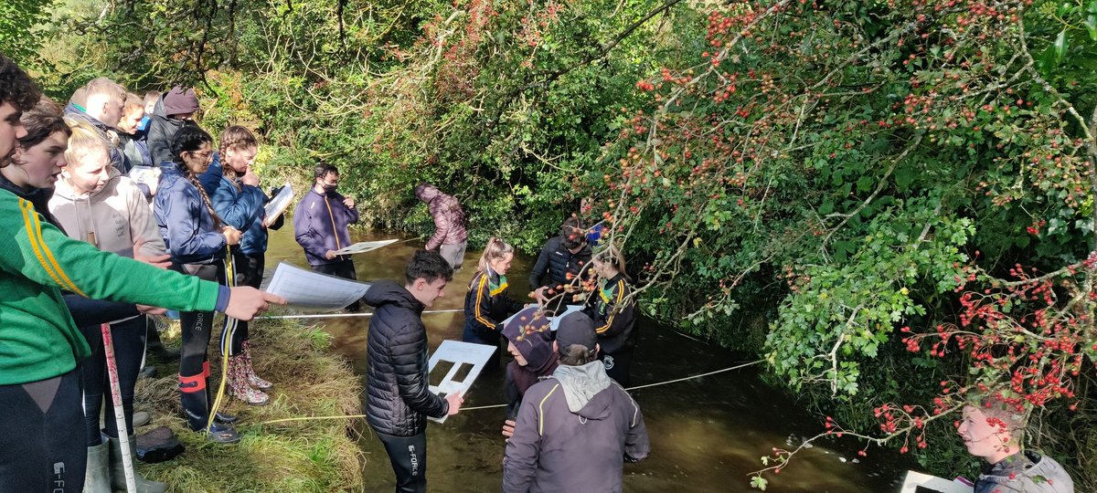 OLSS Castleblayney tweet media