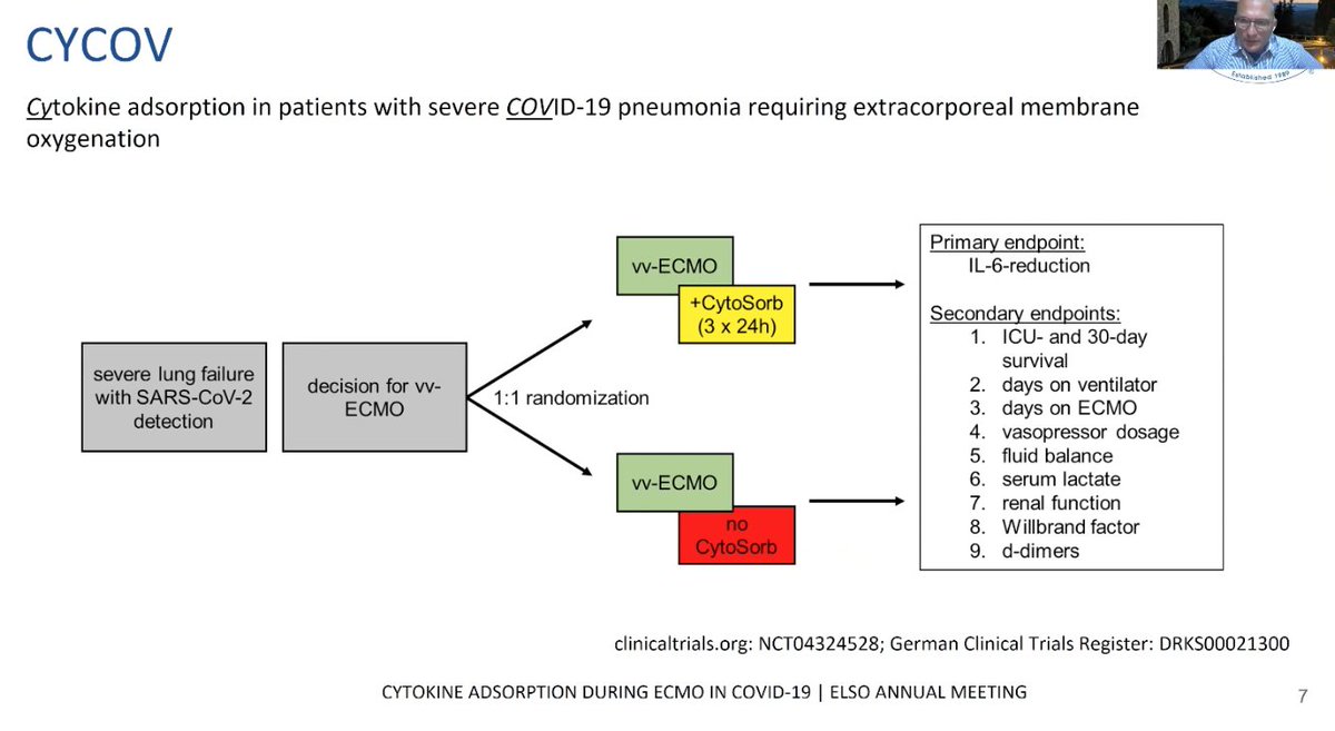 M Velia Antonini tweet media