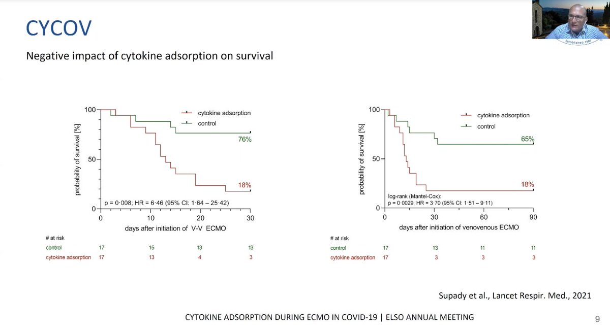 M Velia Antonini tweet media