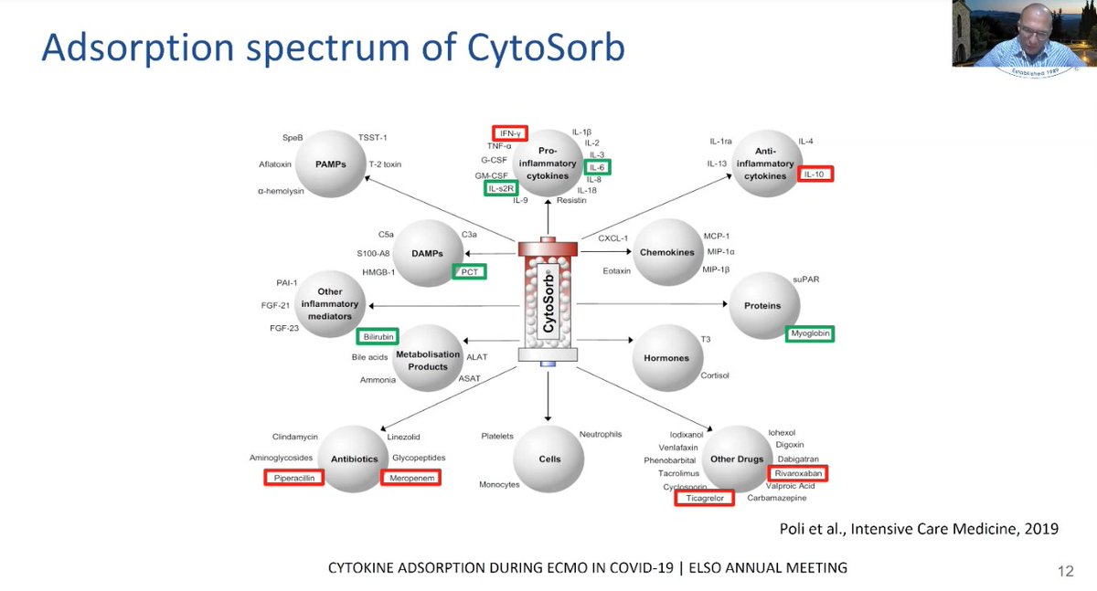 M Velia Antonini (@foamecmo) on Twitter photo Cytokine adsorption on #ECMO in severe #COVID19?
🦠early initiation did not reduce serum IL-6 + had negative impact on survival
🦠 should not be used during first #ECLS days in #SARSCoV2 patients
🦠uncritical use outside trials cannot be recommended
<a href="/AlexanderSupady/">Alexander Supady</a> #ELSO2021 Cytokine adsorption on #ECMO in severe #COVID19?
🦠early initiation did not reduce serum IL-6 + had negative impact on survival
🦠 should not be used during first #ECLS days in #SARSCoV2 patients
🦠uncritical use outside trials cannot be recommended
<a href="/AlexanderSupady/">Alexander Supady</a> #ELSO2021