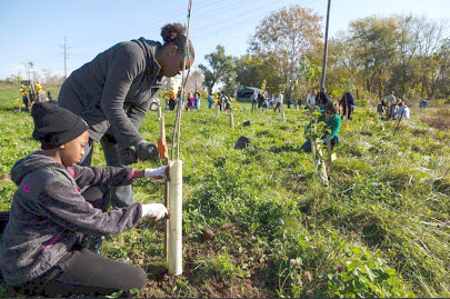 chesapeakebay's tweet photo. As the #Keystone10MTrees partnership enters its fourth fall season, we're looking forward to planting even more trees than in years past. 🌳 https://t.co/JzpsNoqvOi https://t.co/ScddwO6vv8