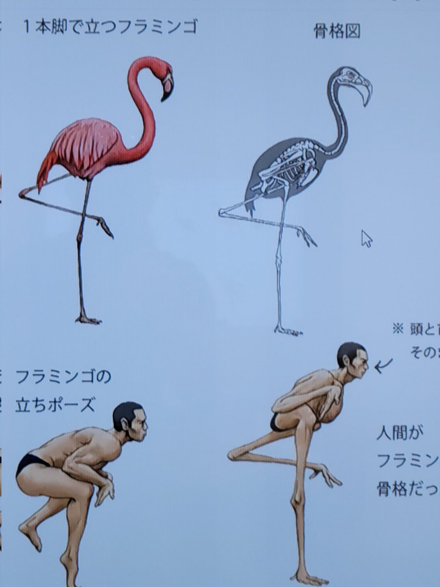 Findlay_Venom's tweet photo. Teaching comparative anatomy post covid... https://t.co/xg8mf1t2vV