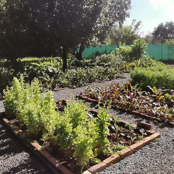 SenzMaseko's tweet photo. @mlota_azola We have a beautiful space in Andeon for the little ones. Currently operational, constantly under development and some assistance or funding towards upgrading our playground, and other facilities could go a long way. https://t.co/7cjbAfHGNa