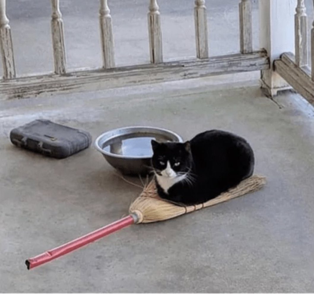 poorlycatdraw's tweet photo. welcome to the spooky season https://t.co/TFmCKO2SR4
