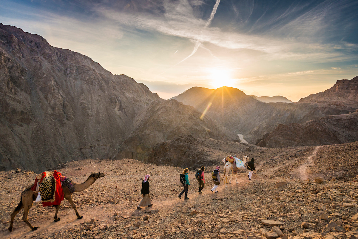 sinaitrail's tweet photo. The Sinai Trail is open for another season of hikes &amp; we'll be going to one of the most spectacular parts of the entire trail on 29 &amp; 30 Oct: the beautiful, winding canyon of Al Zarnoog by the Gulf of Aqaba. Check out the event &amp; msg us ASAP to join https://t.co/711oH1yBok 🐪⭐️❤️ https://t.co/zWNutkGfj2