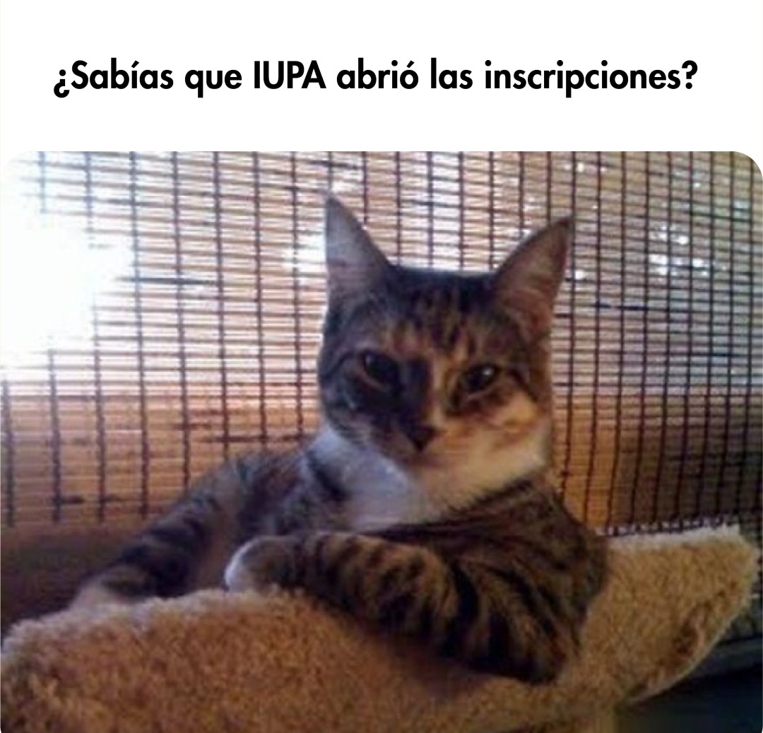 IupaInst's tweet photo. Vení a estudiar arte al IUPA. Ya te podés inscribir en alguna de nuestras 29 carreras (Abrimos hilo) #UniversidadPública #Arte https://t.co/zfq7zjOcsO