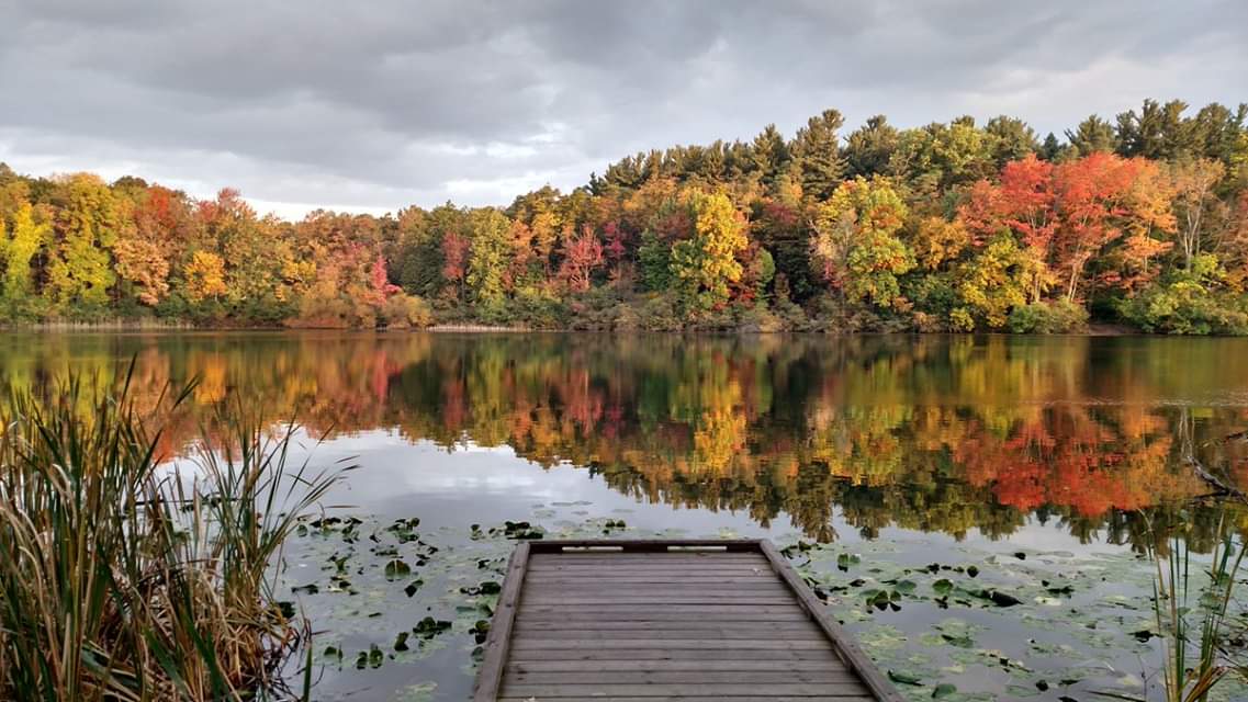 CIGLR_UM's tweet photo. #FallColorFriday We know we say it every year...but it's true!
βWe're so glad we live in a world where there are Octobers.β β L.M. Montgomery ππππ#HappyOctober, #GreatLakes friends!
#October2021 #October #Fall #Autumn #Leaves #FallColors #AutumnLeaves #SaginawForest https://t.co/tjUXrskVjX