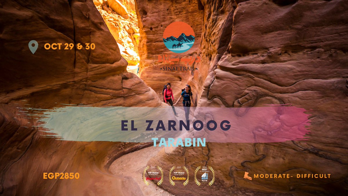 sinaitrail's tweet photo. The Sinai Trail is open for another season of hikes &amp; we'll be going to one of the most spectacular parts of the entire trail on 29 &amp; 30 Oct: the beautiful, winding canyon of Al Zarnoog by the Gulf of Aqaba. Check out the event &amp; msg us ASAP to join https://t.co/711oH1yBok 🐪⭐️❤️ https://t.co/zWNutkGfj2