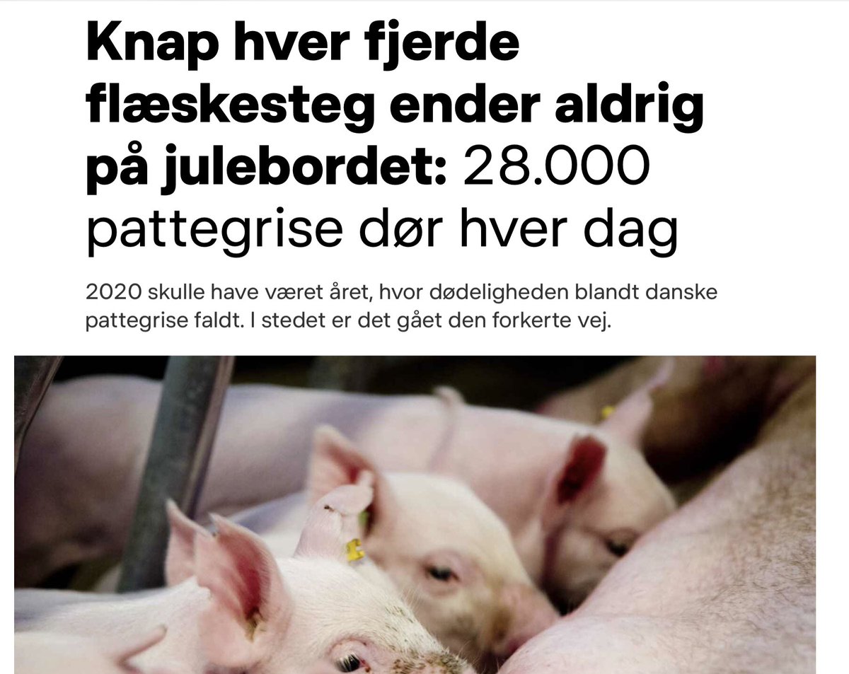 UlverJ's tweet photo. @AlexVanopslagh Fandme dejligt man stadig selv kan bestemme hvordan man vil drive sin virksomhed. Ingen skal diktere dem noget. #frelst https://t.co/BMc5EGVpru