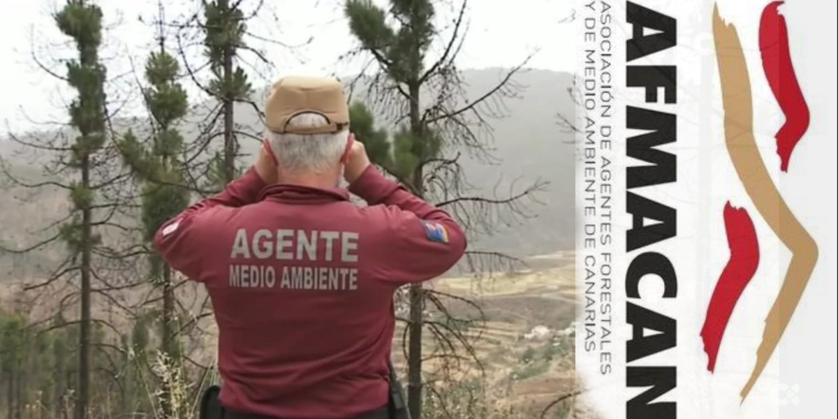 AFMACANCanarias's tweet photo. ⚠️Atención #AlertaRiesgoIF🔥🌲 #GranCanaria #Tenerife #LaGomera #ElHierro #LaPalma, Por favor!! 🙏EXTREMA LAS PRECAUCIONES, sigue indicaciones CABILDOS INSULARES 
#AgentesForestales #AgentesMedioAmbiente 🛂 vigilamos cumplimiento normativa riesgo #IncendioForestal # https://t.co/cM0lUqgoYq