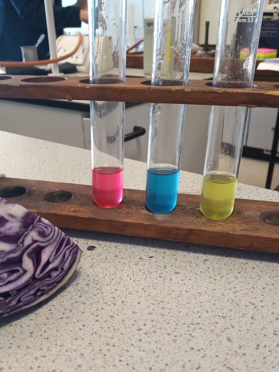Y8 Finishing Friday off with making their own indicator from red cabbage. Challenging the colours produced by universal indicator. Neutral does not always mean green!