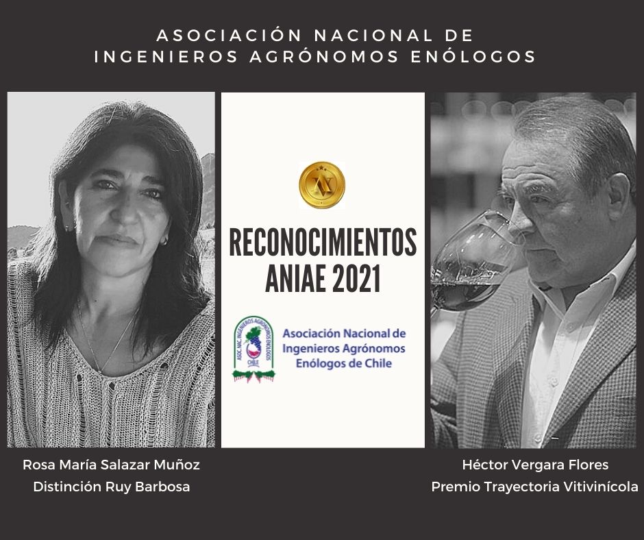 Con mucho agrado informamos que este año la enóloga <a href="/rositamaria/">rositamaria</a>.87 ha sido reconocida con la Distinción Ruy Barbosa. Asimismo, se le ha otorgado el Premio Trayectoria Vitivinícola al Master Sommelier @masterhectorvergara ¡Felicitaciones a ambos por tan merecidos reconocimientos!