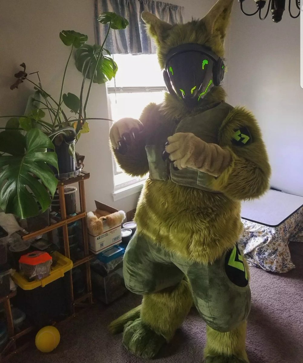 ViridianProto's tweet photo. 🌱《VIRIDIAN》🌱
Common Protogen ▪︎They/Them

Beep boop, hello! I enjoy spending time outside, cooking good food, and most importantly, anything and everything green!  

🍃Head by kaiborgstudios
🌲Body by FurZoneCreation
☘ Paws by Heads&amp;Tails Studio
🌿 Kigu by chowfur https://t.co/Ojw7H5KGlq