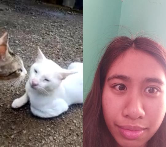 yeniiverse's tweet photo. miming cutie https://t.co/skPv3gTlgF