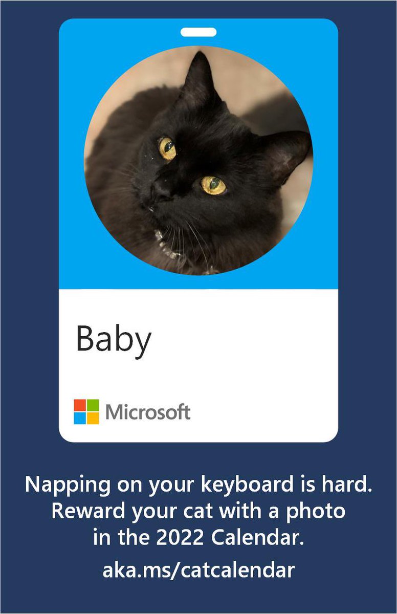 Hey Microsofties- Oct is here, and your cat wants in! 
aka.ms//catcalendar

#CatsOfMicrosoft