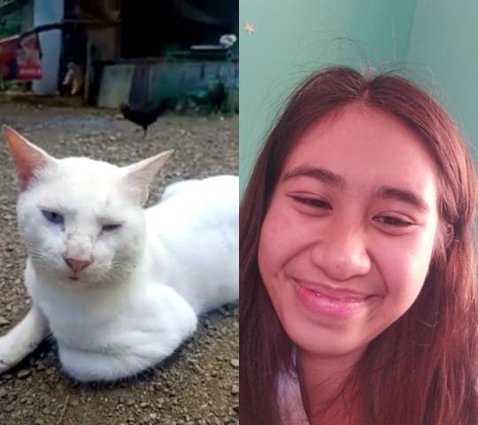 yeniiverse's tweet photo. miming cutie https://t.co/skPv3gTlgF