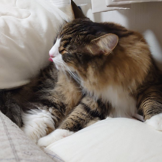 Wonderful Days の評価や評判 感想など みんなの反応を1週間ごとにまとめて紹介 ついラン