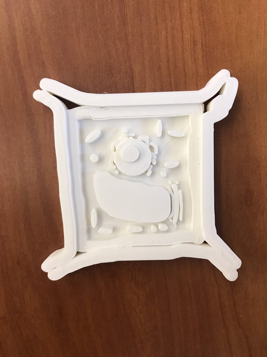 MurrayMakers's tweet photo. At the MA Library, we want to help your next project stand out! Use our tools for your creative solution to a class assignment. Make it fun, and make it uniquely yours in the Murray MakerSpace! Featured is the design process behind an 8th grader’s 3D printed plant cell @LMTSD_MAS https://t.co/puWhcBGiW2