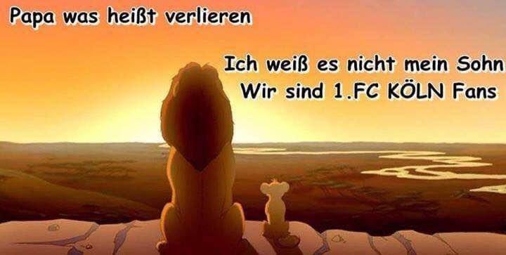 Michael Bröcker 💎 tweet media