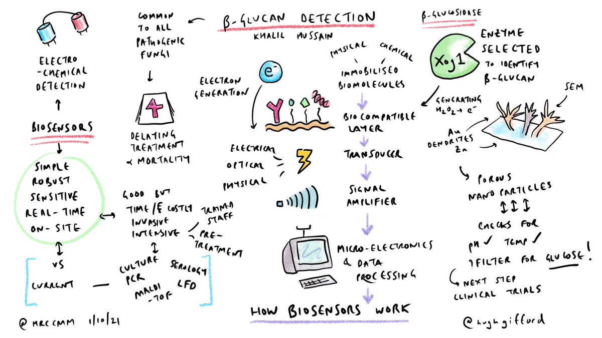 Brilliant sketch by @hughgifford summarizing my presentation today at MRC. #sketchnotes #mmcexeter #biosenso