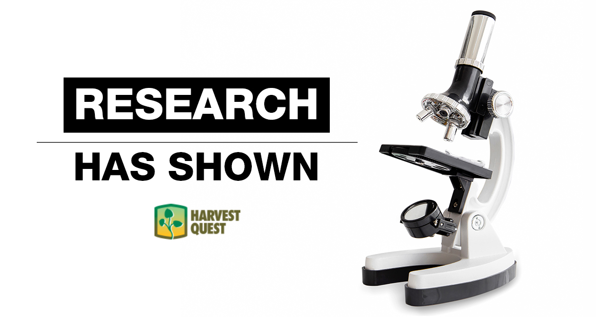 HarvestQuest tweet media