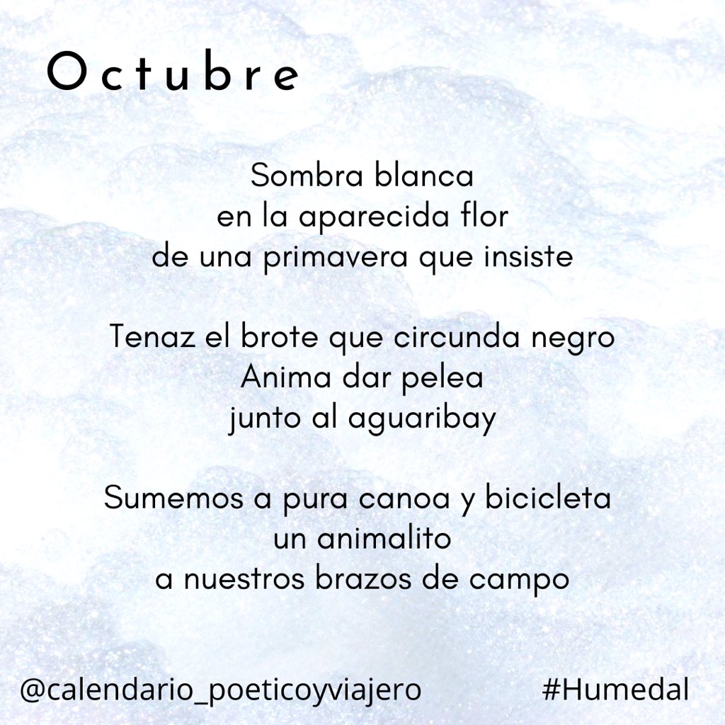 Viajera Editorial tweet media