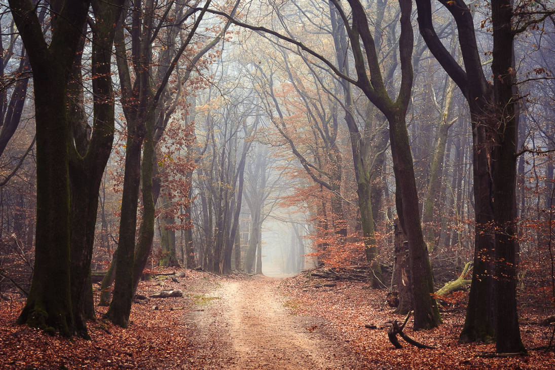 3cheeks82's tweet photo. The Wicca Woods 
📷by tvurk https://t.co/EuzUefeCUd
