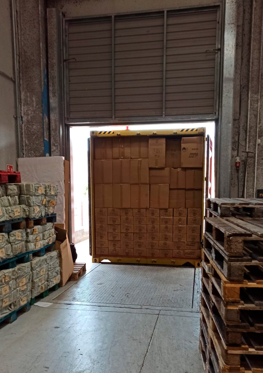 LPluscalidad's tweet photo. Nos han llegado dos contenedores que nos han tenido a tope esta semana, porque siempre trabajamos a lo grande 💪💥
#mayoristasjardineria #mayoristasferreteria #comprapormayor #compraporcatalogo #distribucionespaña #mayoristasmerceria #marcamosladiferencia #1octubre #FelizViernes https://t.co/5WIsjujp2C