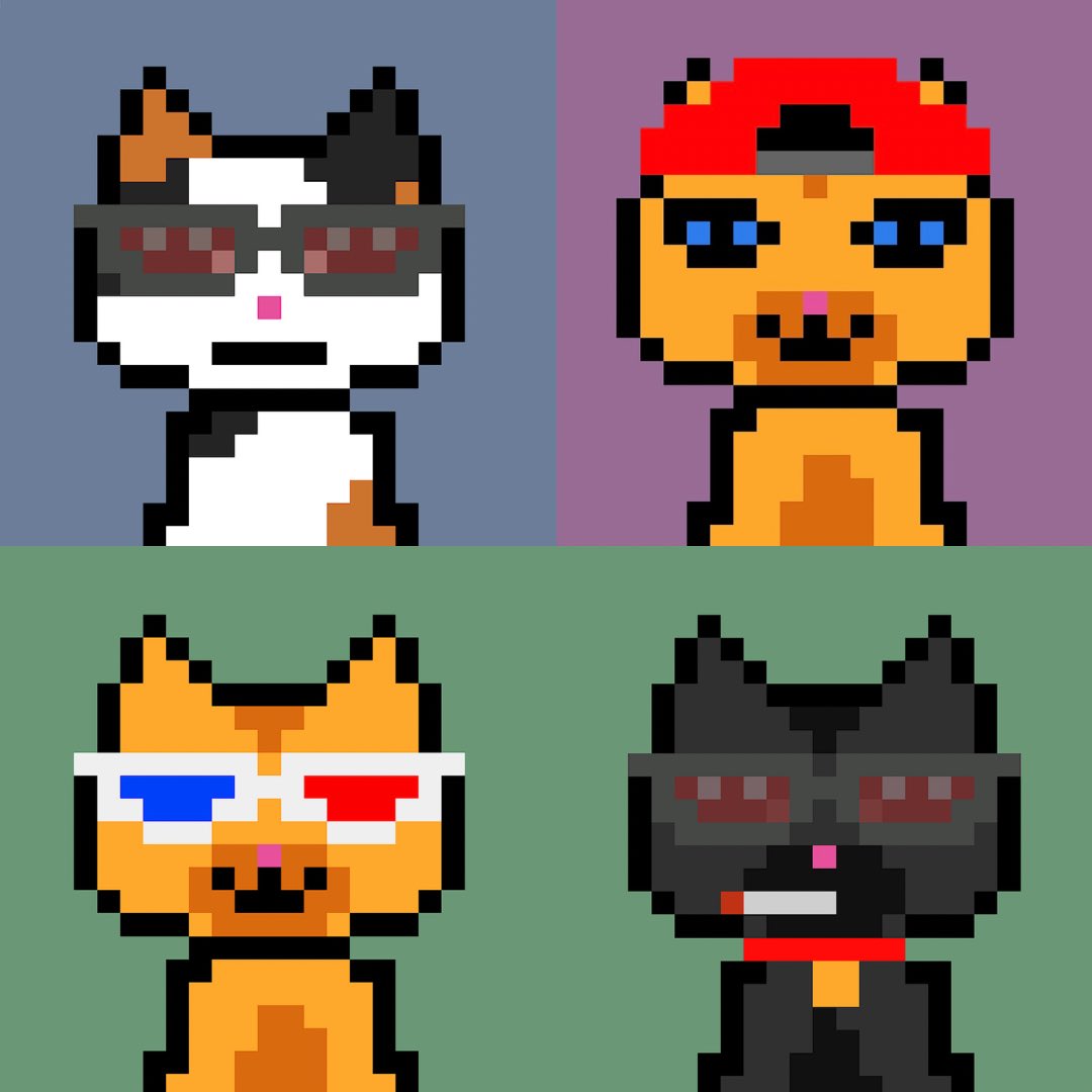 CatsDayClub's tweet photo. @NftRated https://t.co/85lIUM8bxa https://t.co/kLiZaySxEE