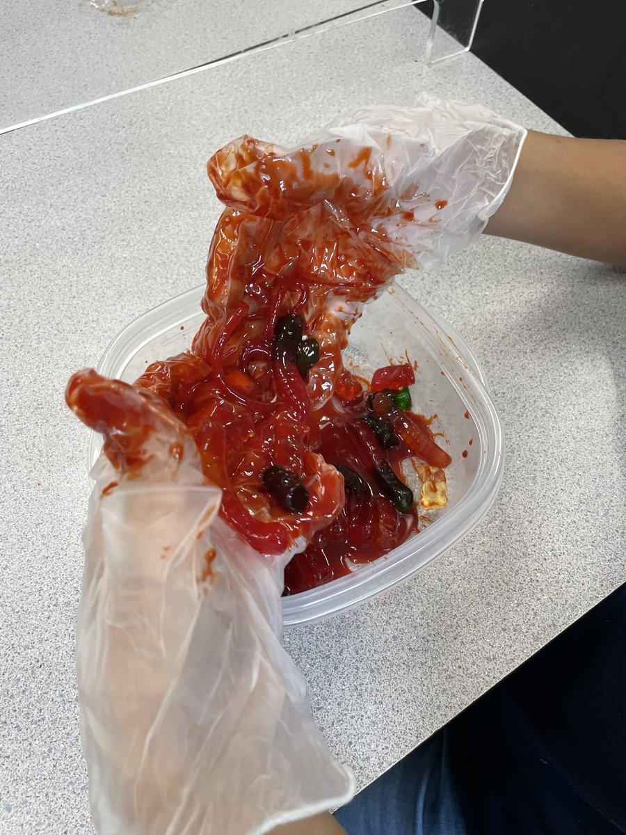 RooseveltDLA's tweet photo. Future scientists in Ms. Zamora's 3rd grade class learning about mixtures and solutions! ๐ค๐ฉ๐ปโ๐ฌ๐ฅฝ #learningatlightningspeed #growingtogreatness https://t.co/baOnnbuOTm
