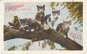 ombudsman_s's tweet photo. Happy #WorldPostcardDay #CatsofTwittter #CaturdayEve https://t.co/S8x7YpGoe4